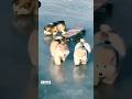 Dog Funny Video 😄🥺 #shorts #youtubeshorts #cartoon #viralvideo