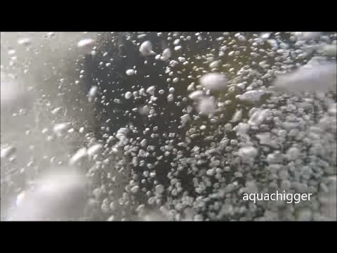 Aquachigger - YouTube