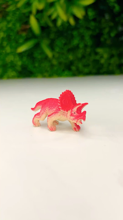 Evolution of Triceratops | Dinosaur Toys