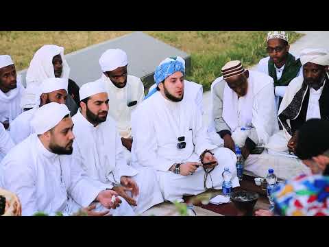 كم بقلبي فيك من شجن د جهاد الكالوتي           