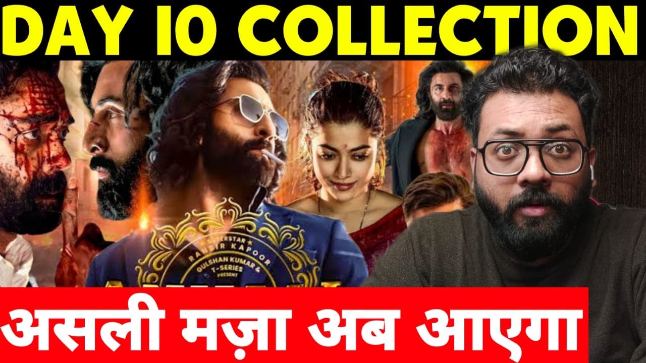 Animal Day 10 Worldwide Box Office Collection | Animal Box Office Collection India | Ranbir Kapoor
