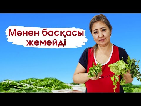 Бейне: Сәуір айындағы көгалдандыру тапсырмалары – осы айда Огайо алқабында көгалдандыру бойынша кеңестер