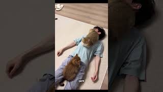 Cats vs. Sleep: The Ultimate Battle…#shorts