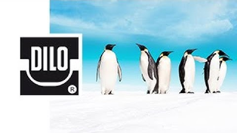 DILO Corporate Video – "Three minutes for a good climate"