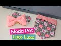 #13 Moda Pet: Laço Luxo