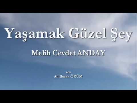 Yaşamak Güzel Şey (Melih Cevdet ANDAY)#garipçiler #melihcevdet#güzelşeydoğrusu#melihcevdetanday