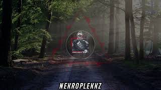 NekroPlekkz | HARDTEKK | [HD]