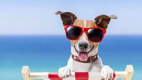 Top 10 Hottest States in USA