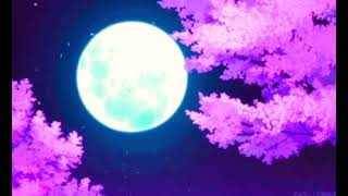 Vampire Weekend - Flower Moon (Slowed + Reverb)