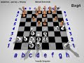Chess povray 3.7 wcc 1958 Round 9 Vasily Smyslov vs Mikhail Botvinnik 1/2-1/2