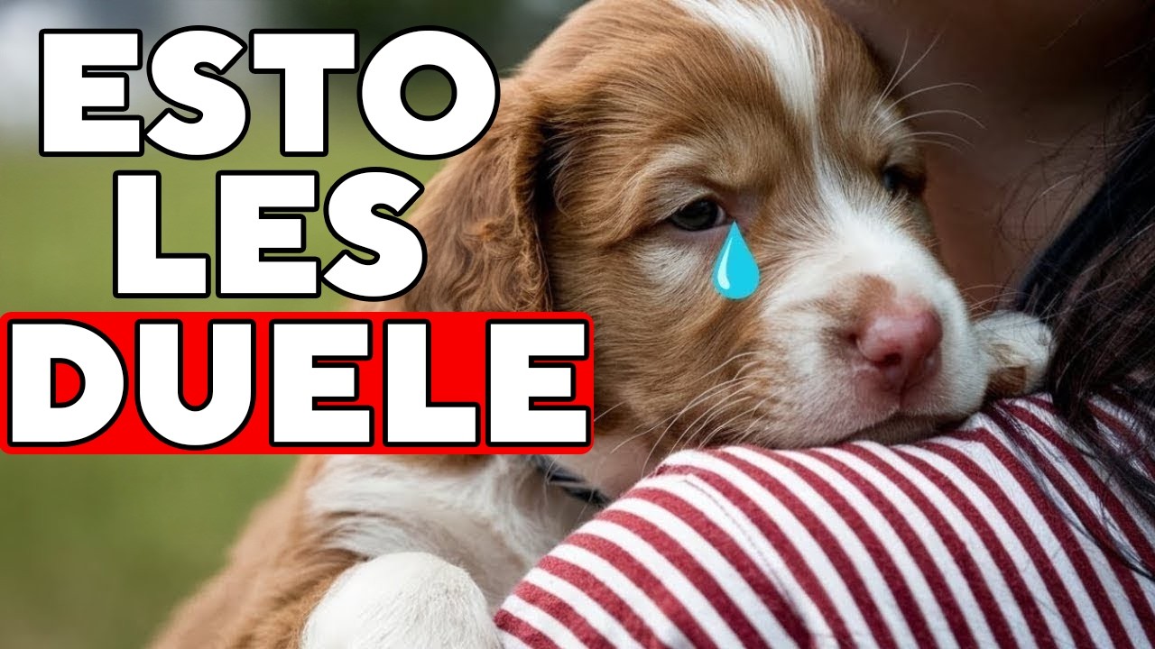 22 Cosas que los Perros ODIAN de las Personas (te sorprenderá)