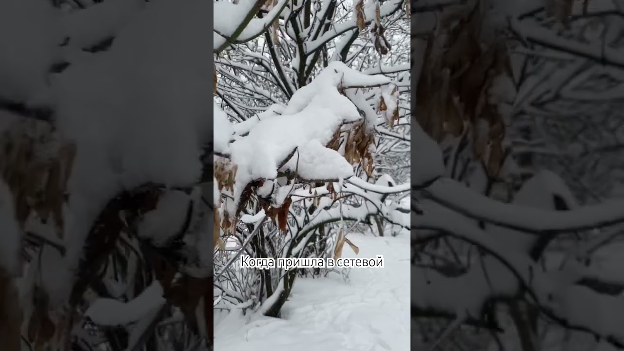 Партнер NL, приглашаю в бизнес, пиши слово ЗАПРОС и я свяжусь с тобой