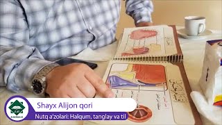 #Tajvid_darslari | 2. Nutq a'zolari: Halqum, tanglay va til | Shayx Alijon qori