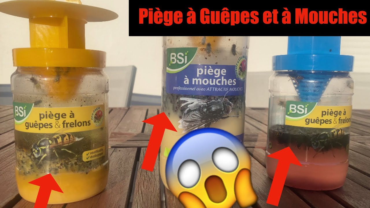 Piège à Mouches Professionnel 