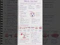 Umbilical Cord (Funis) | Complete Anatomy &amp; Functions Explained for Nursing Students
