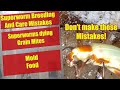 Superworm breeding mistakes  superworms dying  pupation  superworm care  tips superworms