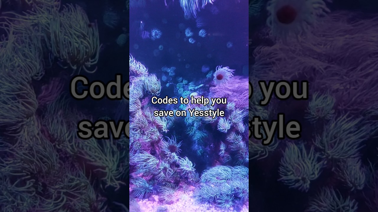 Codes to help you save on Yesstyle 