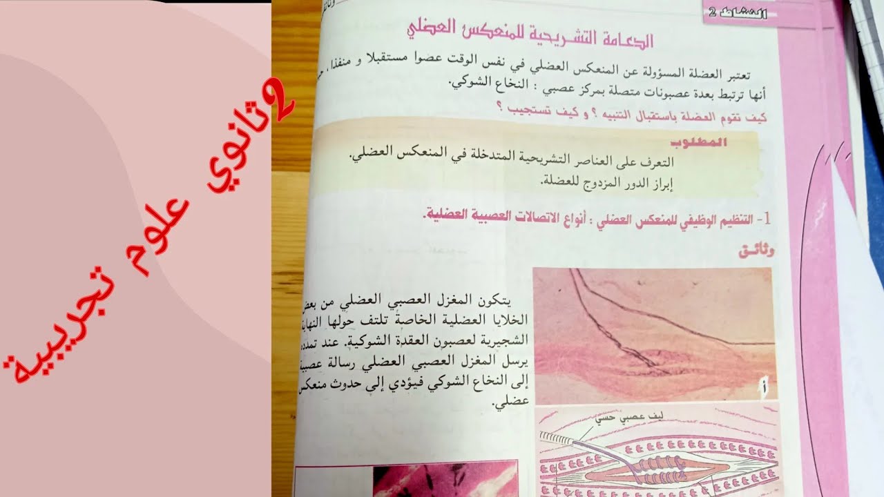 الدعامة التشريحية للمنعكس العضلي سنة ثانية ثانوي شعبة العلوم التجريبية ج1