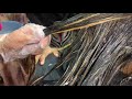 hair transformation dark to silver blonde. anil blue secrets