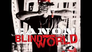 Canon - Good to Go Net Worth