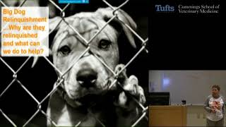 Animal Matters Seminar: Changing Perspectives on Rehoming and Retention of Dogs and Cats