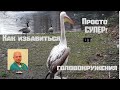 Как избавиться от головокружения. Гимнастика.