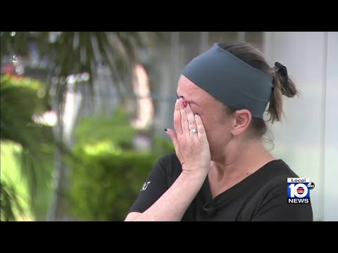 Hit And Run Broward County