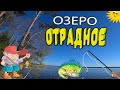 Рыбалка на озере Отрадное. Ленинградская область.