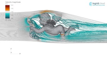 Aerodynamics of Cupid | Ingrid Cloud