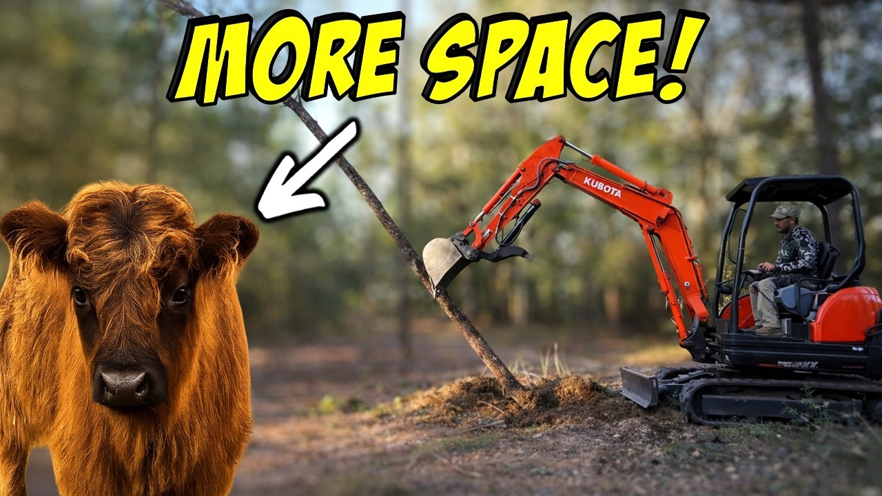 Beyond Tractors: Our SECRET Weapon for Homestead Land Management - YouTube