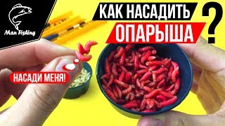 Как насадить ОПАРЫША на крючок?! 3 способа. Лучшая насадка на Карася, Карпа, Плотву, Леща🔥🐟