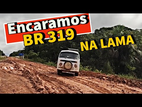 BR 319 SAGA COMPLETA. MANAUS PORTO VELHO de KOMBI A AR