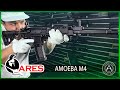 Обзор на ARES Amoeba M4 AA Assault Long. Страйкбольная винтовка.