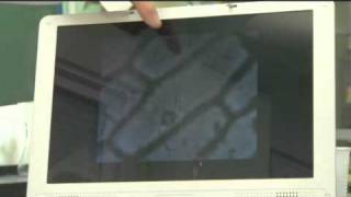 Pudrir Verduras - Canal Sur