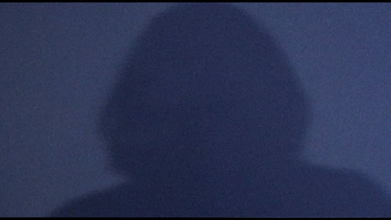 Palme - It Looks Sad. | Music Video |