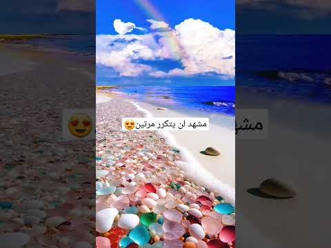 188 مليون مشاهدة على تيك توك 188 Million Views On Tik Tok الطبيعة Nature Cat