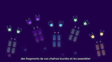 Sanofi – La technologie NANOBODY®