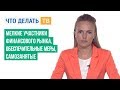 Участники рынка Форекс Forex - YouTube