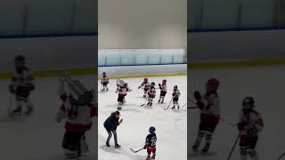 Ice Hockey Player Trips And Falls While Celebrating With Trophy - 1501356