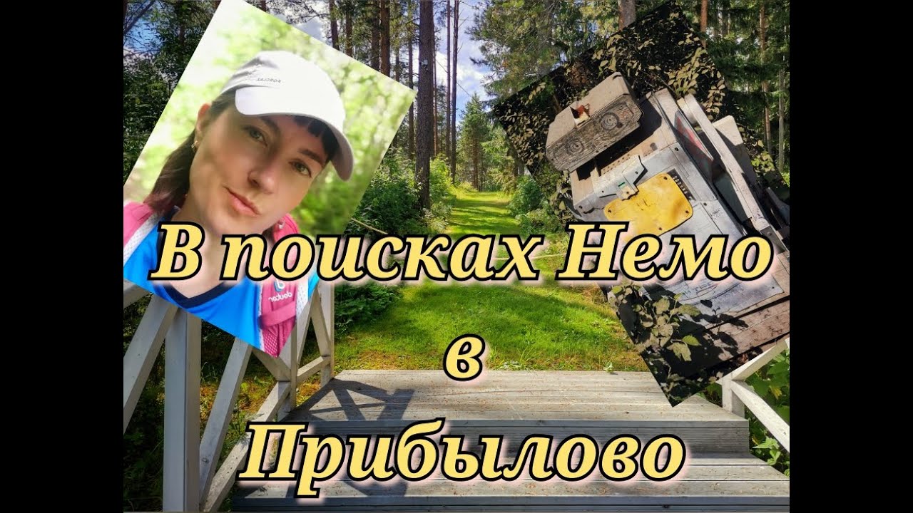 Вест клуб в прибылово