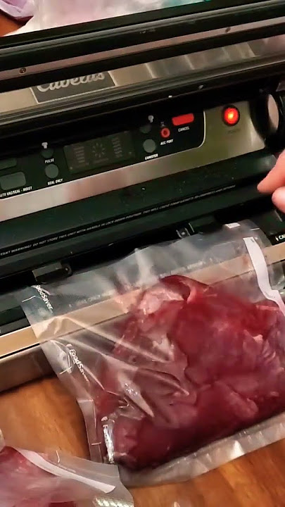 How to Marinate Meat With FoodSaver Vacuum Sealer 