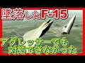 航空自衛隊F15墜落！アグレッサーとは？海自が水深100mで一部発見。