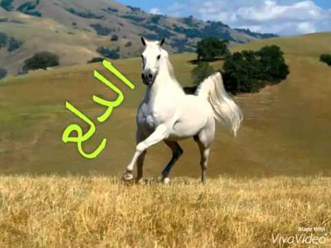 ايوه كده كده