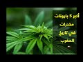 ماذا تعرف عن أكبر 5 بارونات مخدرات في تاريخ المغرب الجواب في دقيقتين