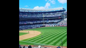 Thumbnail of Let's Go Yankees