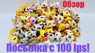 LPS: ПОСЫЛКА С 100 LPS! 🔥 (Обзор #1)