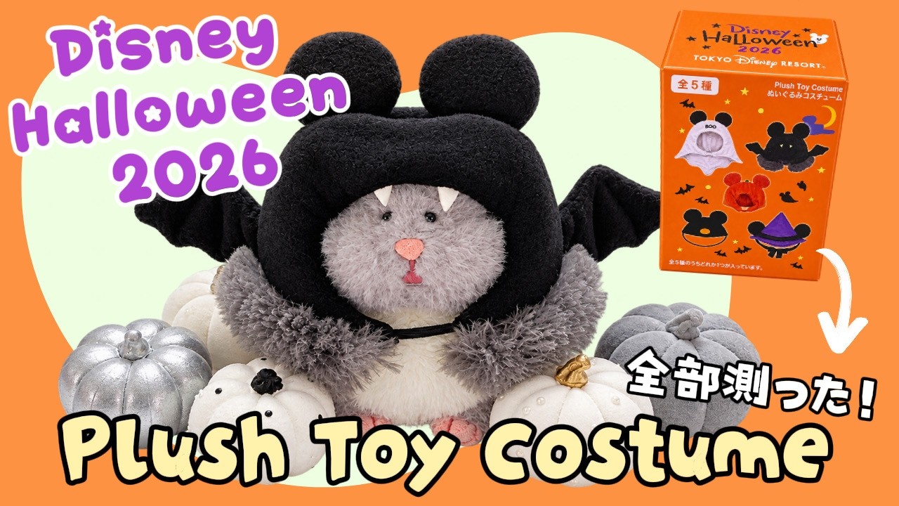 ディズニーハロウィン】ぬいぐるみコスチューム紹介 - YouTube