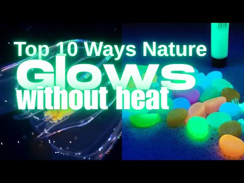 Top 10 Forms of Luminescence Found in Nature
