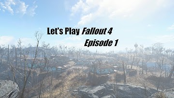Fallout 4 (Survival Difficulty) Let