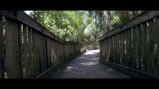 Wekiwa Springs DJI Osmo by JoeLouis 21 views 4 years ago 1 minute, 58 seconds